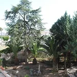 Dimora 4* Αλμπερομπέλο
