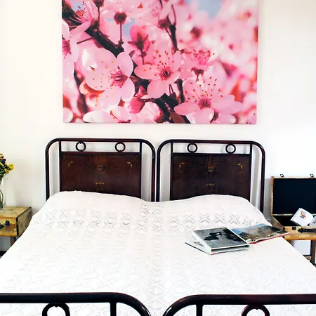 Bed and Breakfast Dimora Αλμπερομπέλο