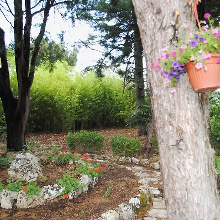 Frühstückspension Dimora Alberobello