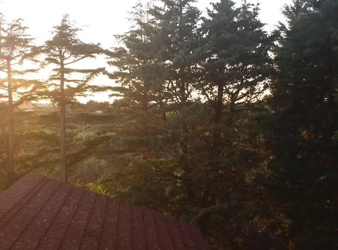 Couette-café Dimora